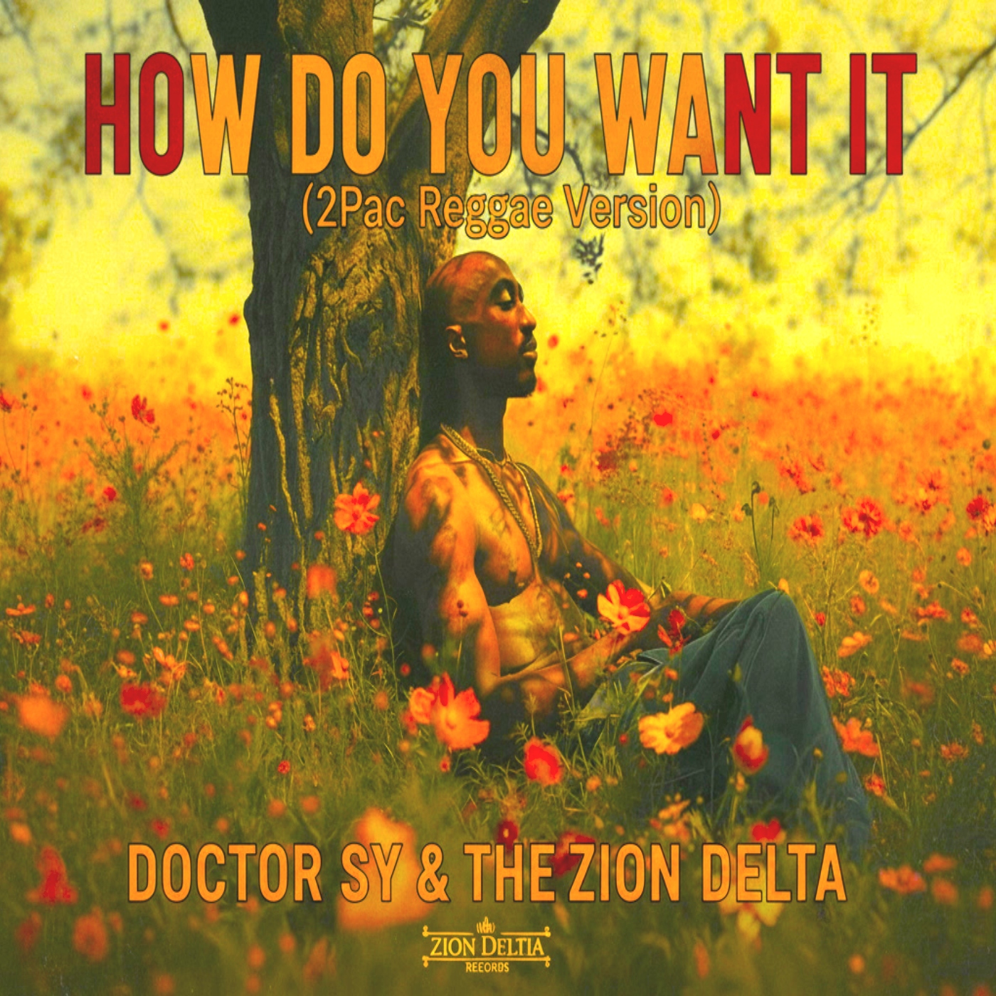 How Ya Waant It - 2Pac Reggae Version